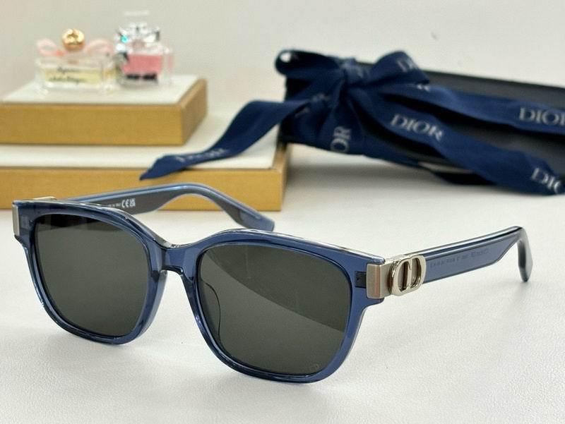 DIOR Sunglasses 176